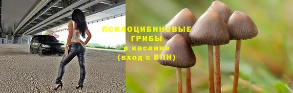 jwh Аркадак