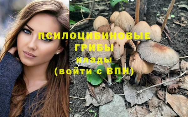 jwh Аркадак