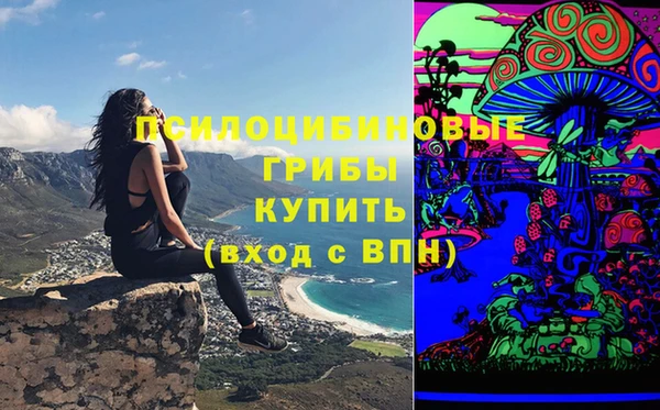 PSILOCYBIN Арсеньев