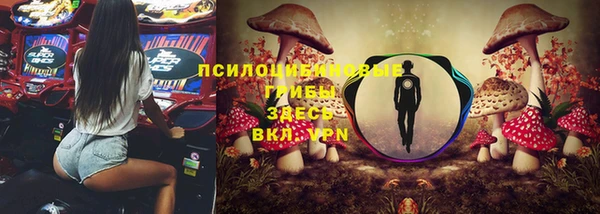 не бодяженный Армянск