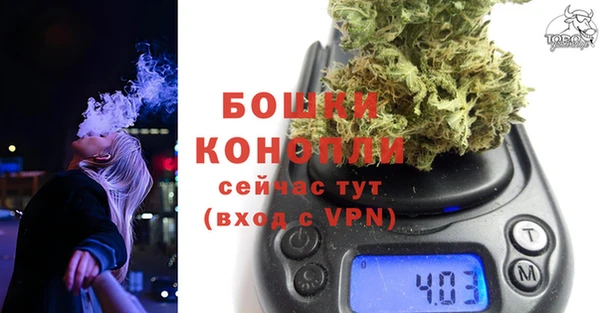 PSILOCYBIN Арсеньев